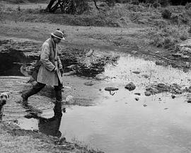 约瑟夫·门格勒的消失封面图