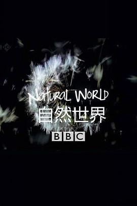 自然世界：美洲豹 - 巴西的超级猫科动物封面图