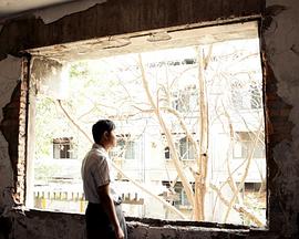 沉默庇护封面图