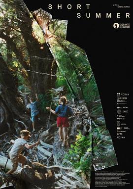 短暂的夏天封面图
