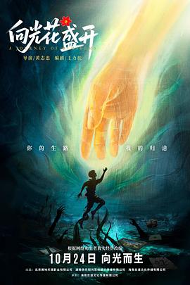 向光花盛开封面图