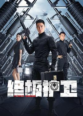 终极护卫封面图