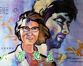 大雁北飞封面图