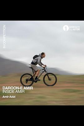 阿米尔的内心封面图