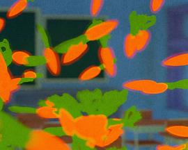 殉道者指南封面图