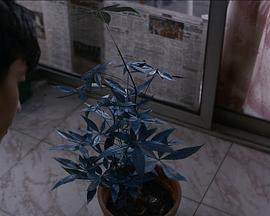 请注意（祈）封面图