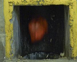 叫我陈太封面图