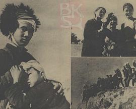 老百姓万岁封面图