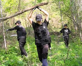 只是，我们短暂停留的地方封面图