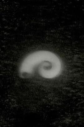 我找到了水源封面图