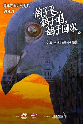 鸽子飞，鸽子唱，鸽子回家封面图