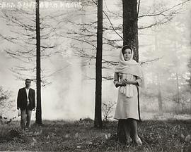 忧愁平野封面图