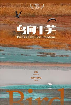 鸟向平芜封面图