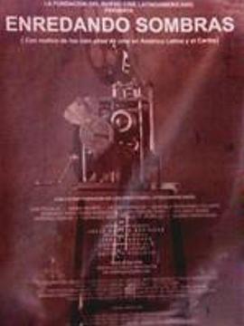 混乱的阴影封面图