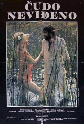 未看见的奇迹封面图