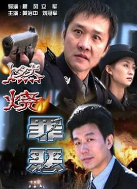 燃烧罪恶封面图