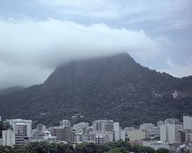 树的冥想封面图