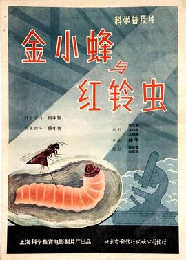 金小蜂与红铃虫封面图