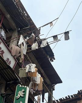 克什米尔公主号封面图