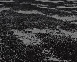 当特提斯海向西退却，留下残响封面图