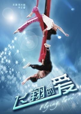 飞翔的爱封面图