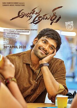 惊奇女婿封面图