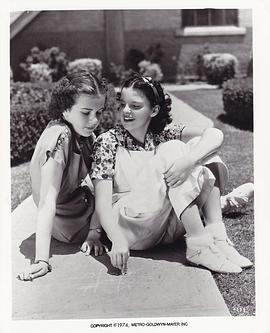 每个星期天封面图