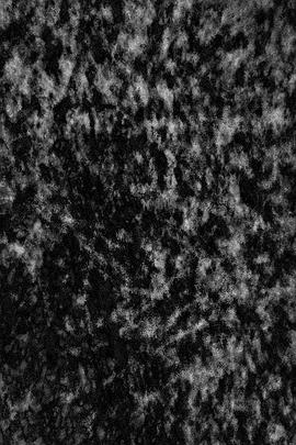 垂死世界的永恒宁静封面图