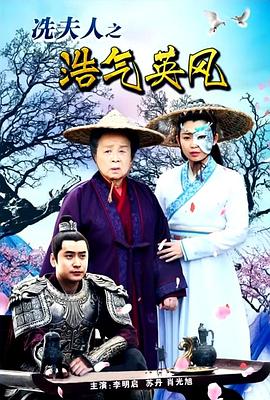 冼夫人之浩气英风封面图