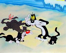 街头猫咪夺房之战封面图