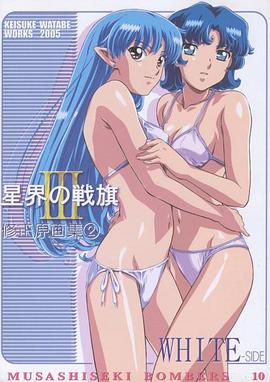 星界的战旗 特别篇封面图